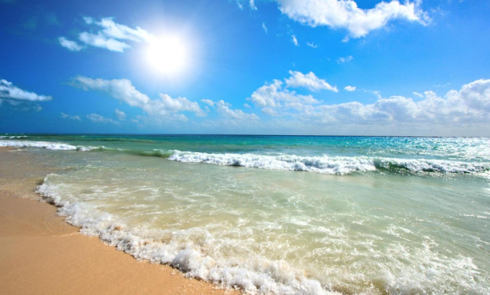 Sunny Beach Plaza 33 Studio מראה חיצוני תמונה